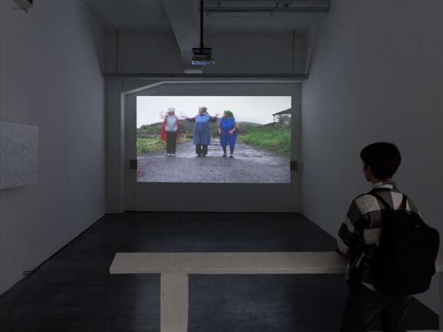 Lucia Nimcova And the last to profit is the country rat 1