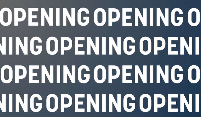 OPENING template website