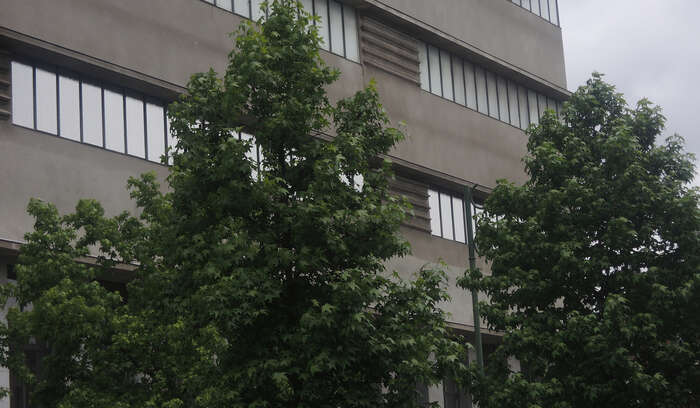 Image0 1