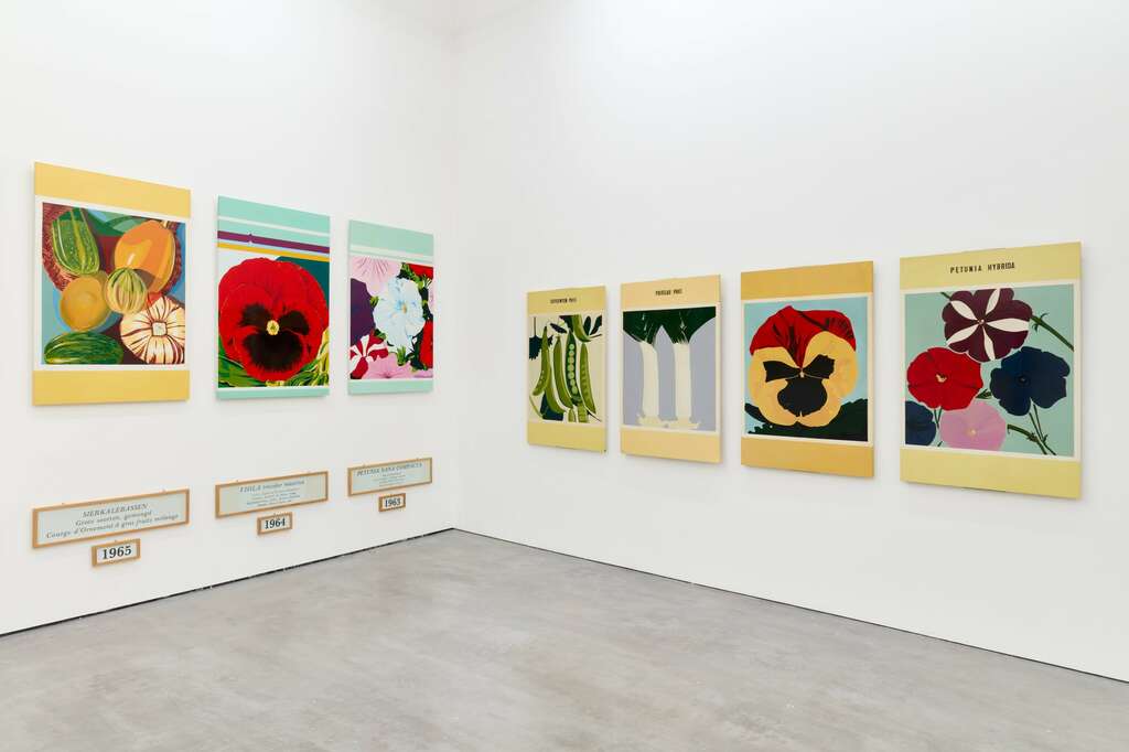 Installation view Jef Geys You dont see what you think you see WIELS Brussels 2024 Photo We Document Art 2 jpg min