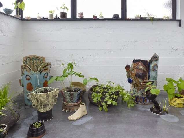 Lonelyfingers SEEDS 1