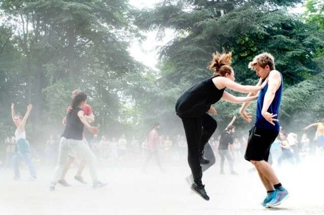 Super Vlieg Super Mouche 3