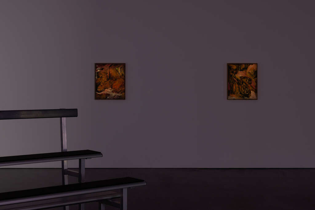 5 Kulendran Thomas WIELS Centre for Contemporary Art Brussels 2024 Safe Zone