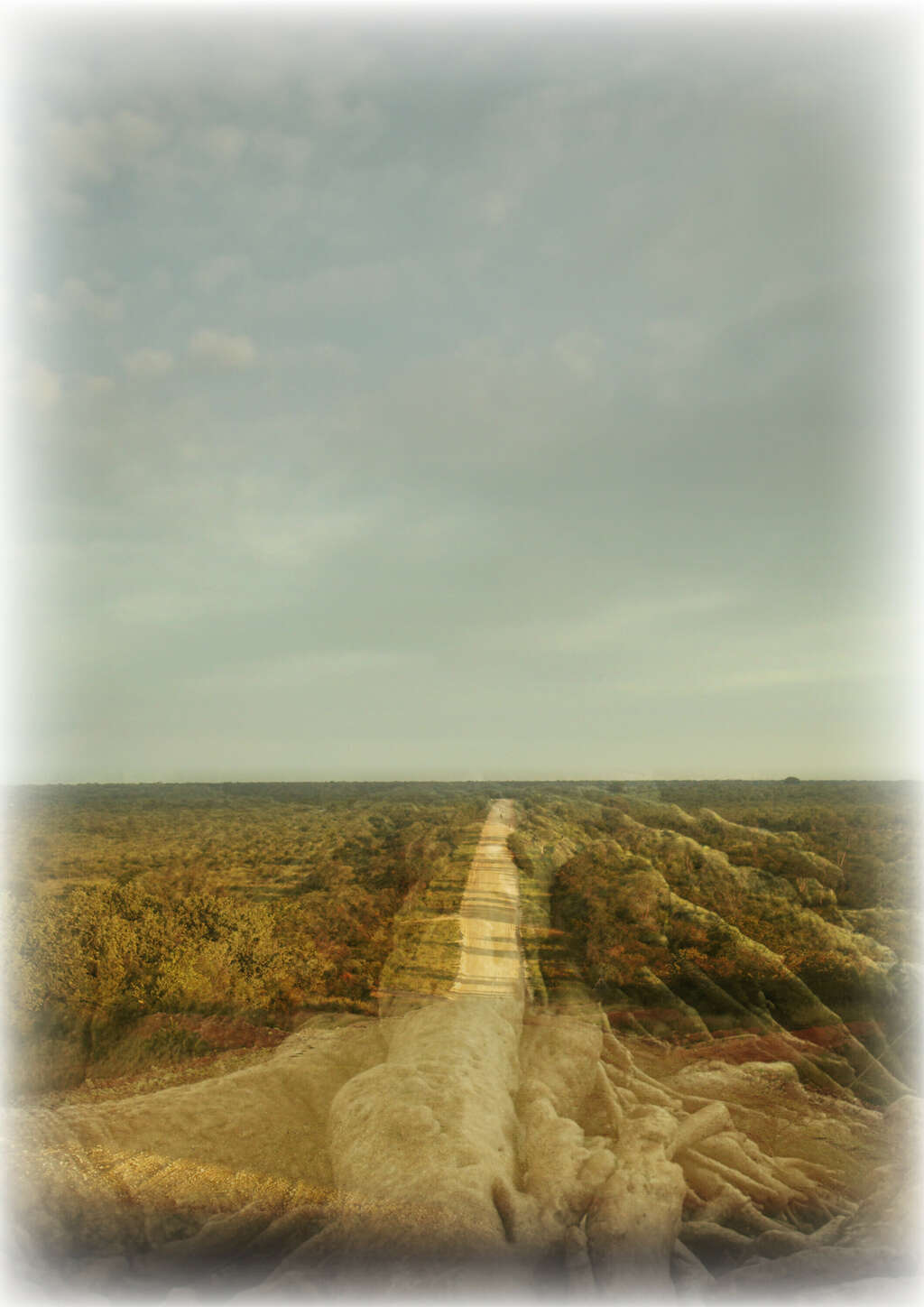 Poster Beeld High Res