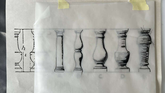 01 Bellies 6 Hitchcock horizontal