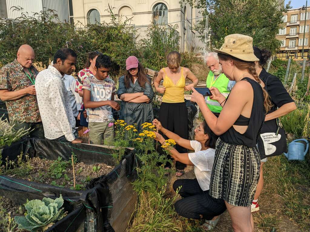 PXL 20220804 170550629 MP