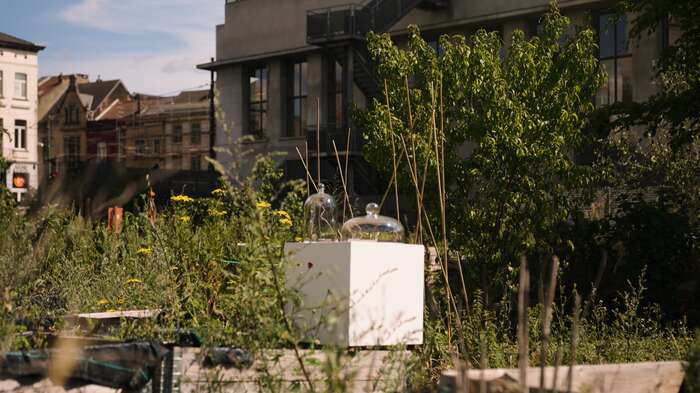 Whats App Image 2025 08 06 at 14 45 15