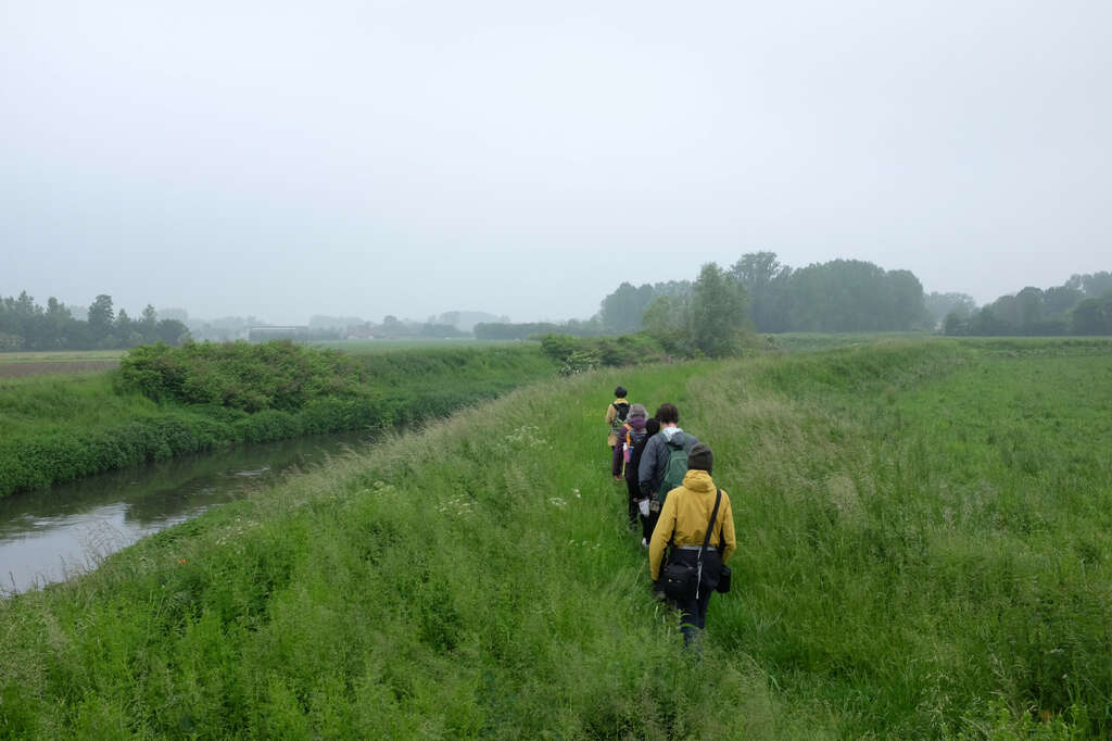 Walking with Naturalcontractlab 1 2