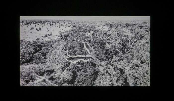 Wiels Magical Realism Photo Eline Willaert 13 2