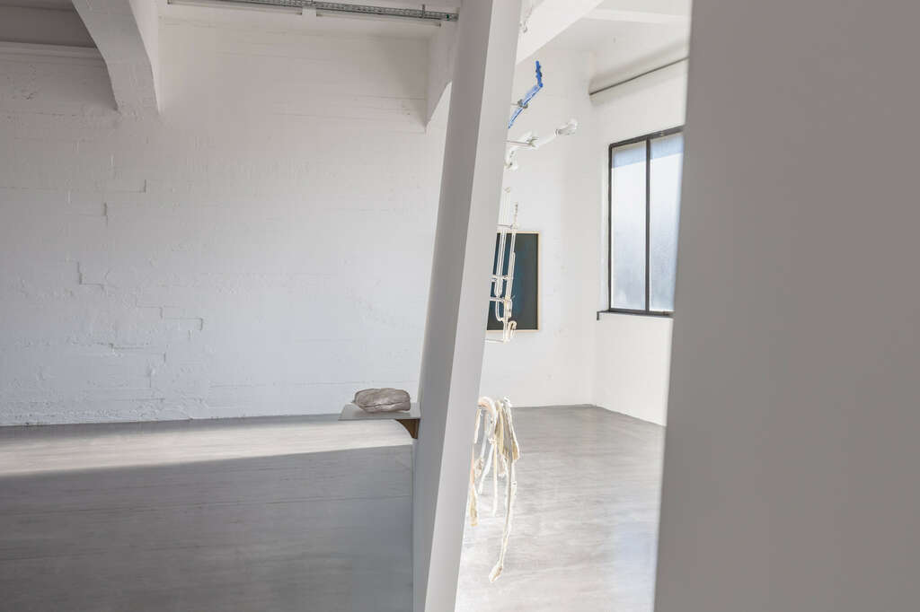 Wiels Nairy Baghramian Photo Eline Willaert 73