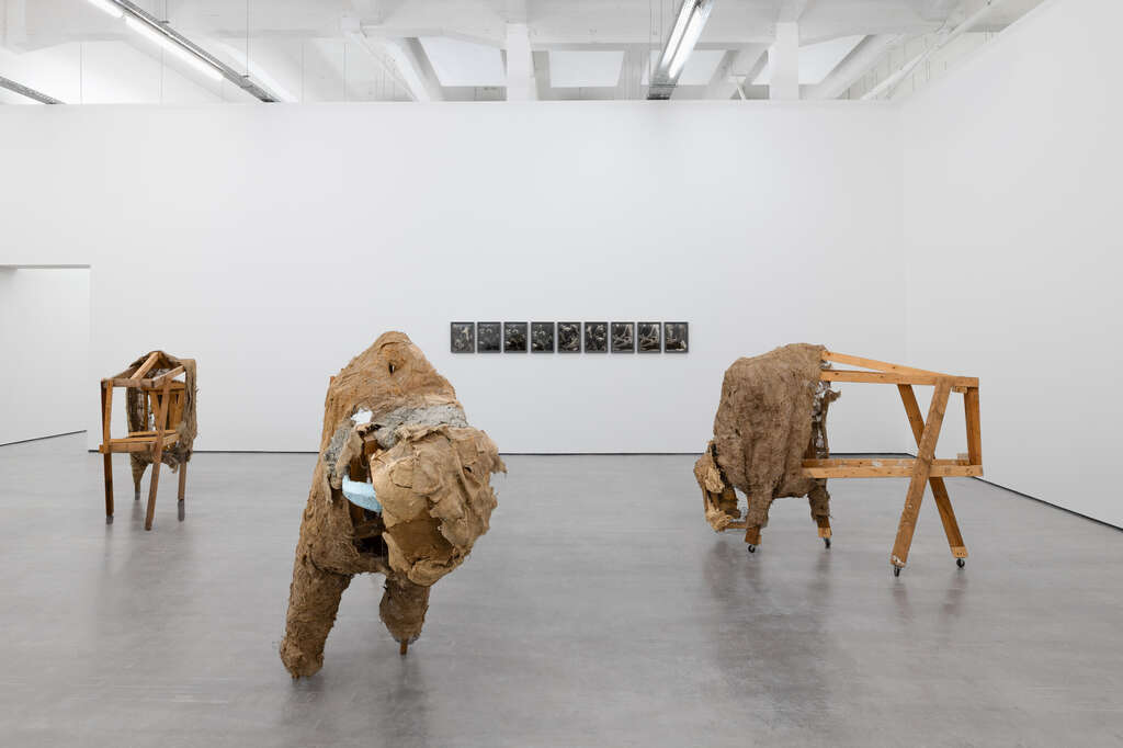 Wiels Lutz Bacher Photo Eline Willaert 1