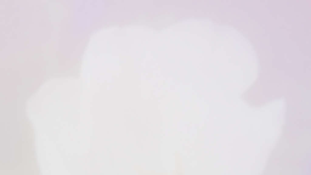 Visuals Affiliate Hedi Jaansoo 1920x1080px