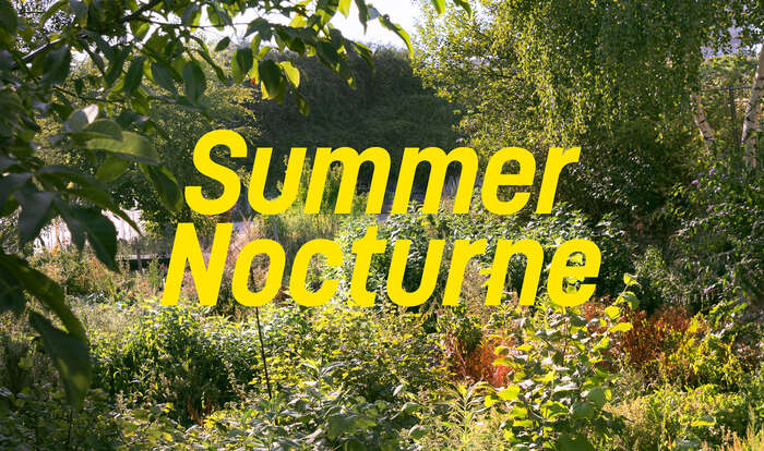 Summer nocturne wiels jaune 2