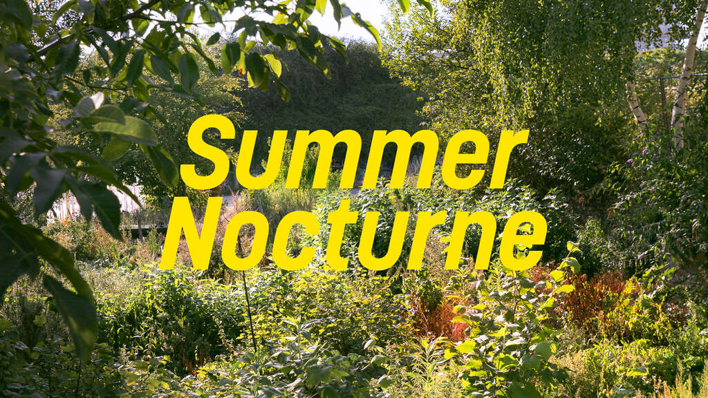 Summer nocturne wiels jaune 2