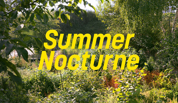 Summer nocturne wiels jaune 2