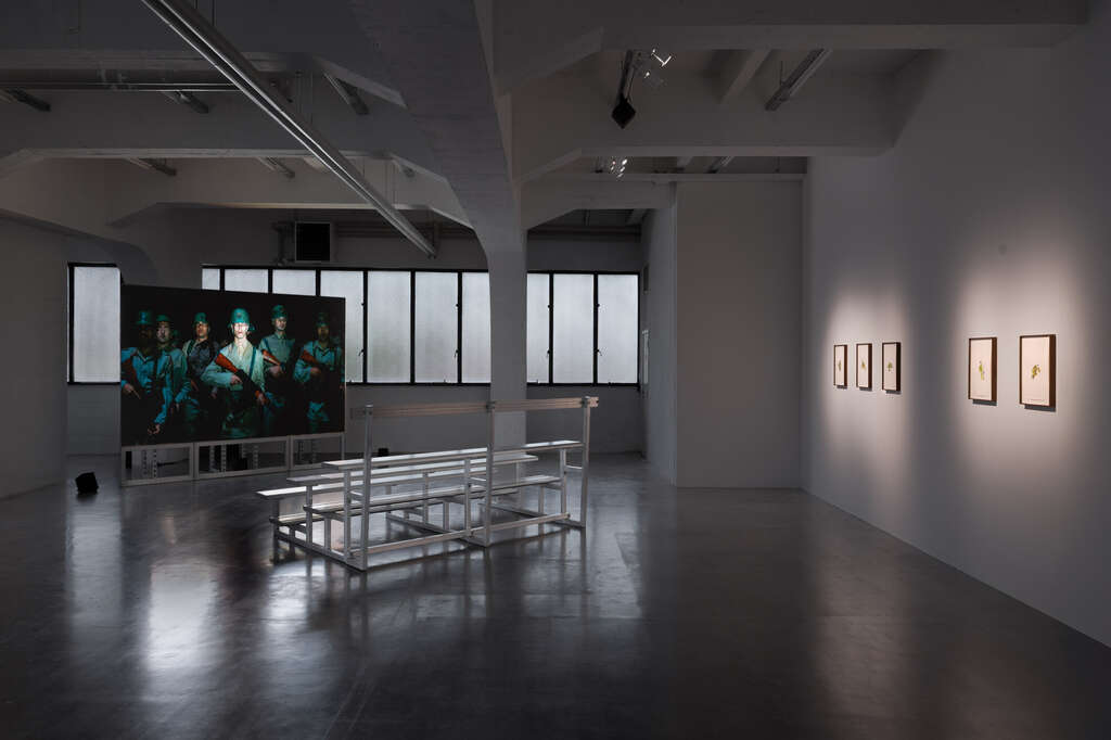 WIELS Ali Cherri Soul Witness Photo Eline Willaert 25