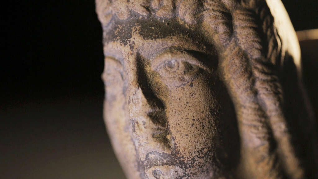 Petrified photo02