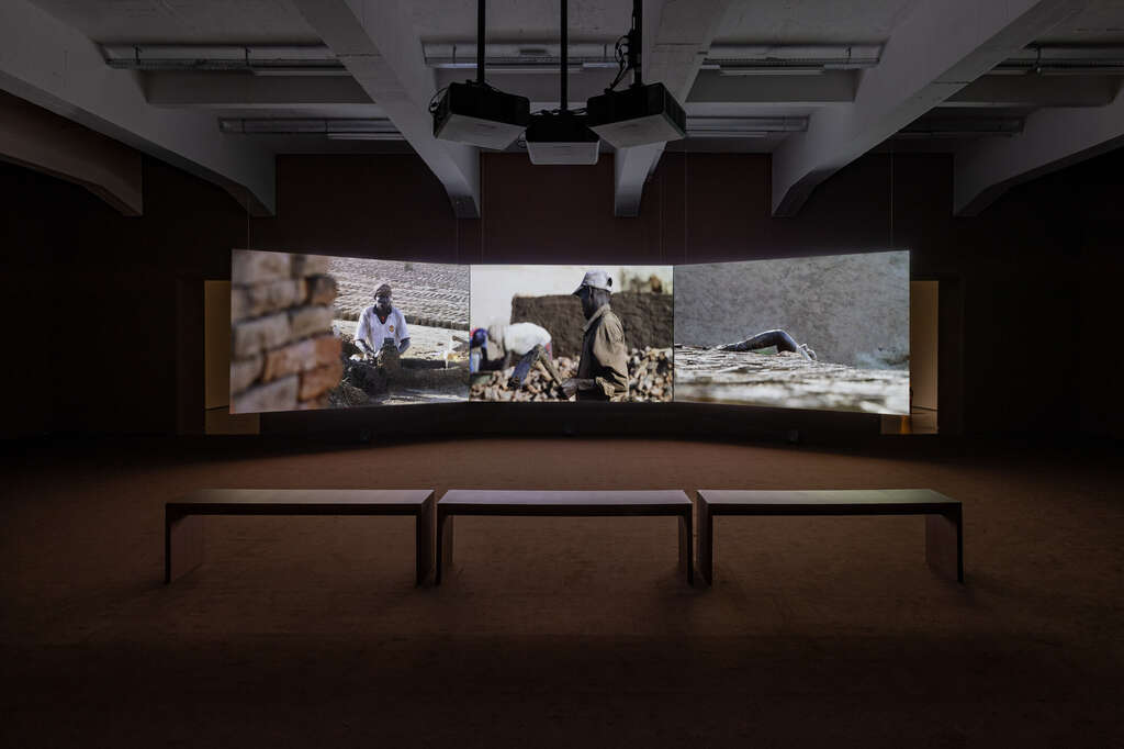WIELS Ali Cherri Soul Witness Photo Eline Willaert 2
