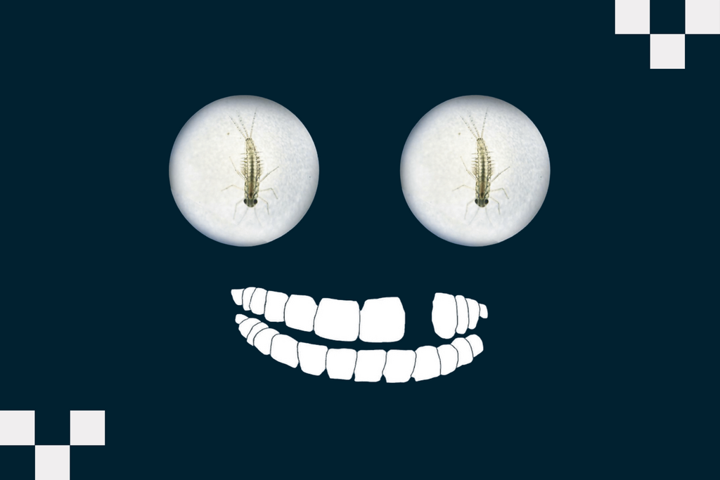 Website image