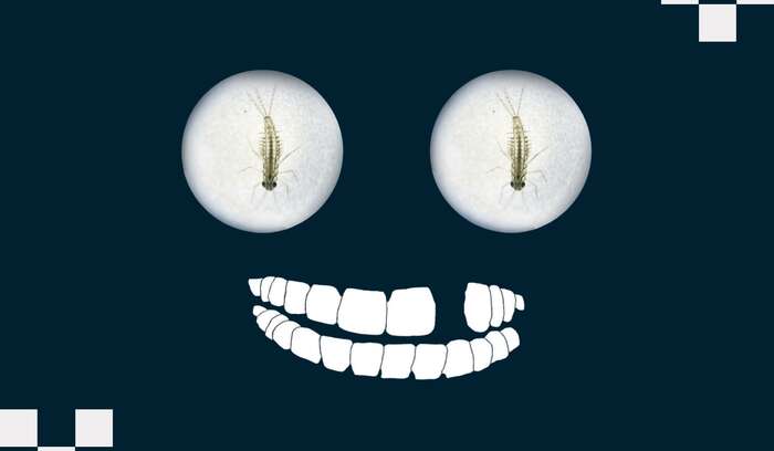 Website image
