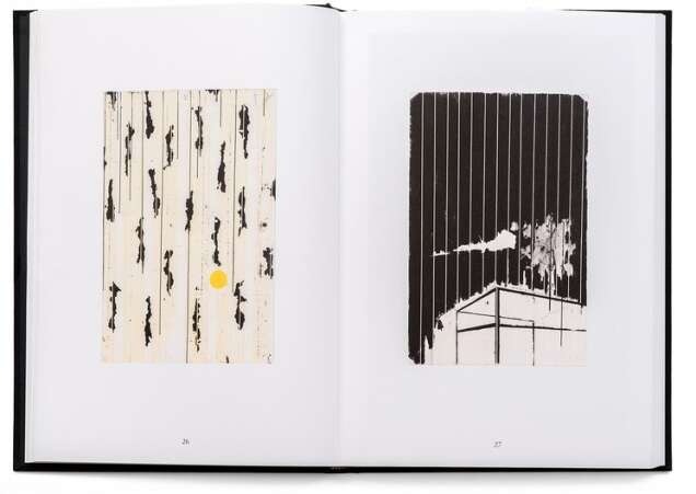 Signature Harold Ancart Soft Places Triangle Books 2