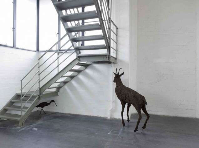 Petrit Halilaj Poisoned by men in need of some love7