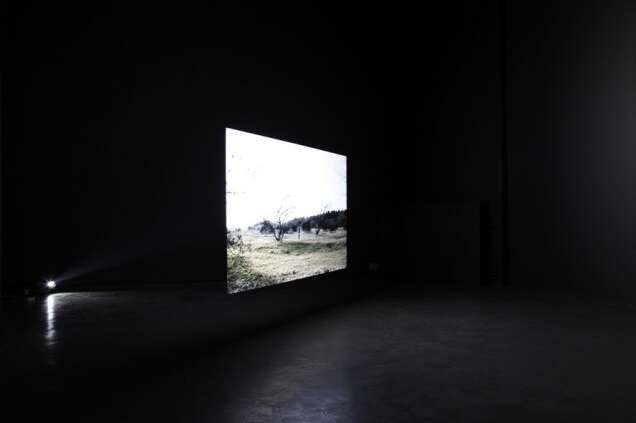 Ben Pointeker hedendaagse kunst Brussel