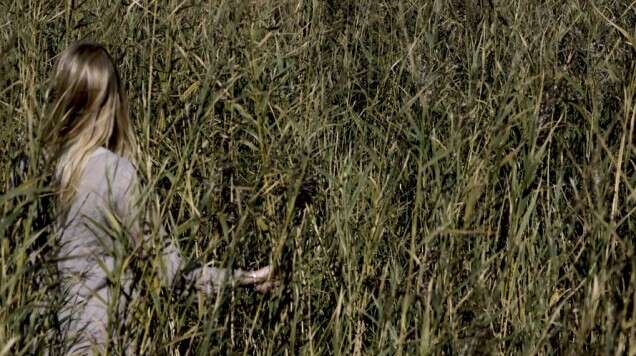 Ben Pointeker art contemporain Bruxelles