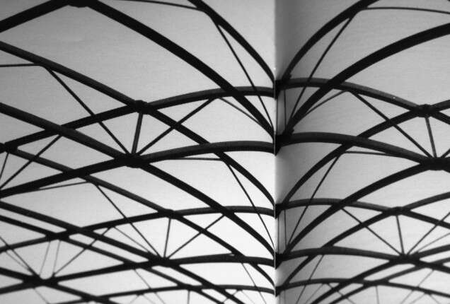 Benefit Gala Dinner Auction 21