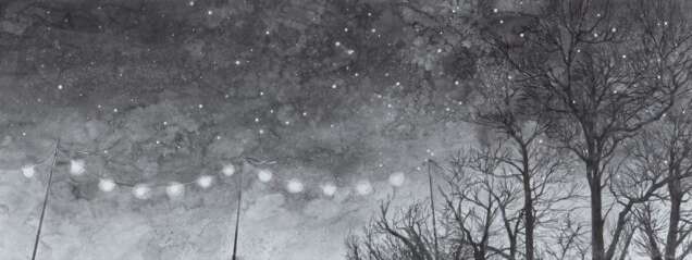 Benefit Gala Dinner Auction 26