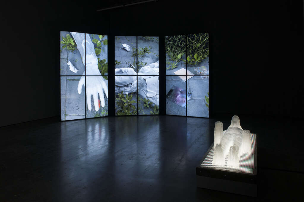 2702 Regenerate Installationviews Philippe De Gobert