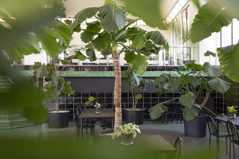 WIELS portret alexandrabertels 70 HIRES