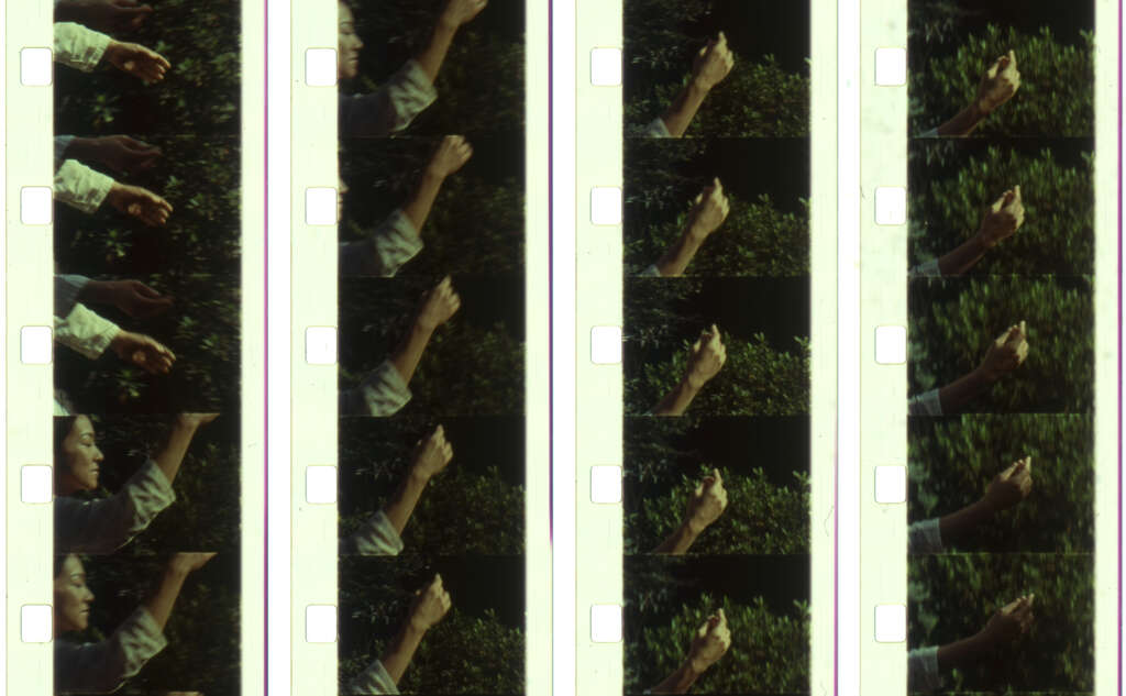 20 Meihodo film strips JPG