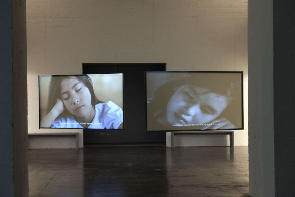 Thao-Nguyen-Phan-Monsoon-Melody-Installation-WIELS-video-art-kunst-Vietnam-Vietnamese