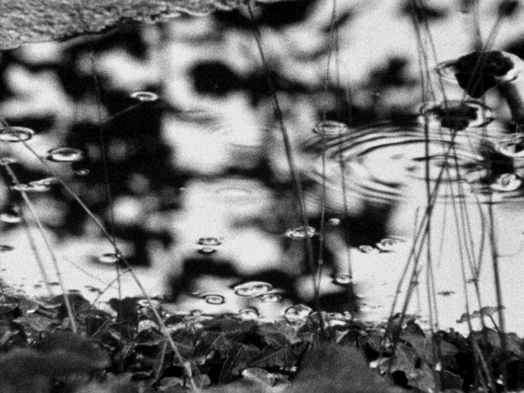 Daniel A Swarthnas contemporary art Brussels