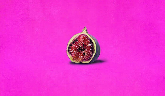 Vijg roze OK2