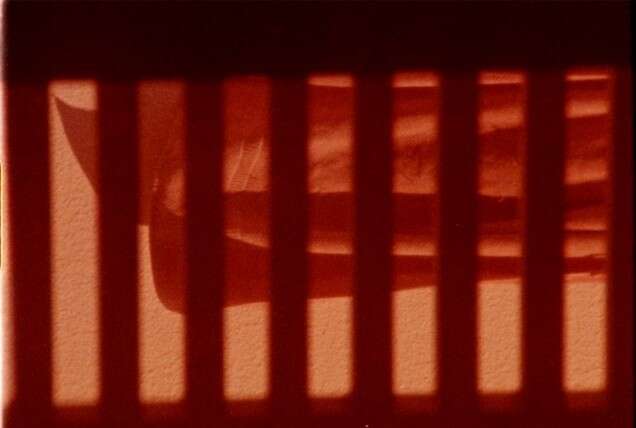 Two Films par Bruno Delgado Ramo 3